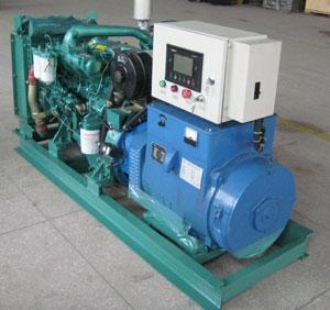 隆子发电机出租